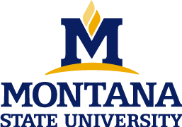 Montana State University